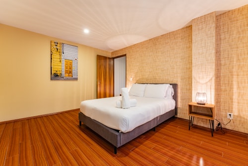 VH | Polanco Apt | washer + gym | 226 41 Virtual Homes