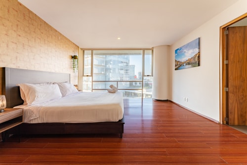 VH | Polanco Apt | washer + gym | 226 49 Virtual Homes