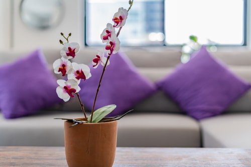VH | PH en Condesa 4 Rec & wifi + gym | 296 57 Virtual Homes