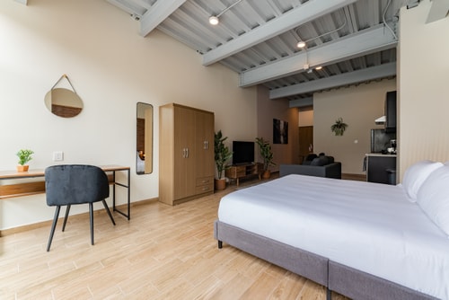 VH | Loft ejecutivo Roma Nte | wifi & rooftop | 300 23 Virtual Homes