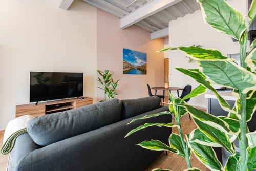 VH | Nice Loft | roof + lavandería | Roma Nte | 308 10 Virtual Homes