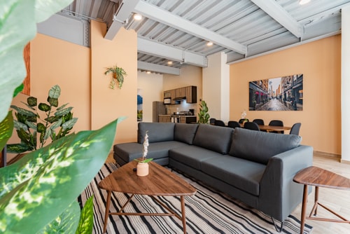 VH Roma Nte | Garden House Privado + patio y super wifi | 161 21 Virtual Homes