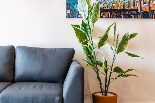 VH | Gran loft en Roma Nte + washer & wifi | 313 14 Virtual Homes