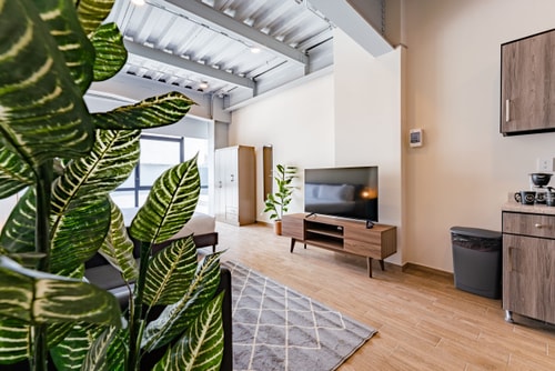 VH | Loft en Roma Nte | gran wifi + washer I 302 11 Virtual Homes