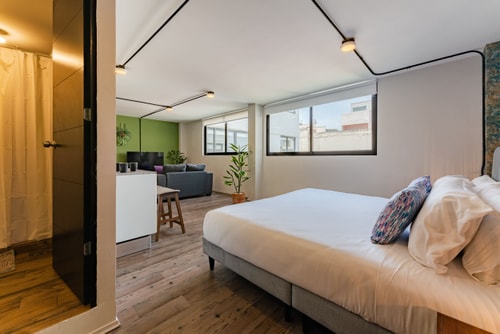 VH | Nice loft + rooftoop + gym | Condesa | 293 21 Virtual Homes