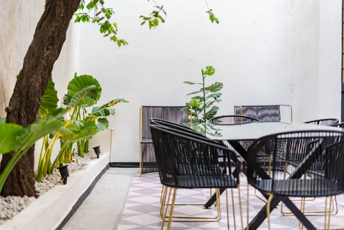 VH Roma | Amazing Mexican House roof & gym | 237 65 Virtual Homes