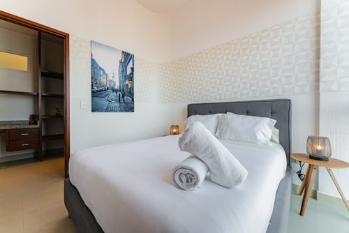 VH | Great apt | Anáhuac | wifi + 2 BR | 220 32 Virtual Homes