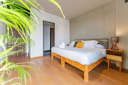 VH | Comfy apt | Condesa | parking & washer | 87 26 Virtual Homes