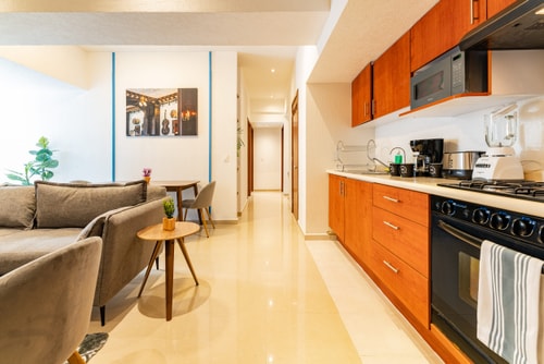 VH | Amazing apt | wifi & gym | Anáhuac | 109 16 Virtual Homes
