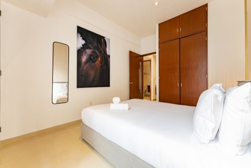 VH | Amazing apt | wifi & gym | Anáhuac | 109 25 Virtual Homes
