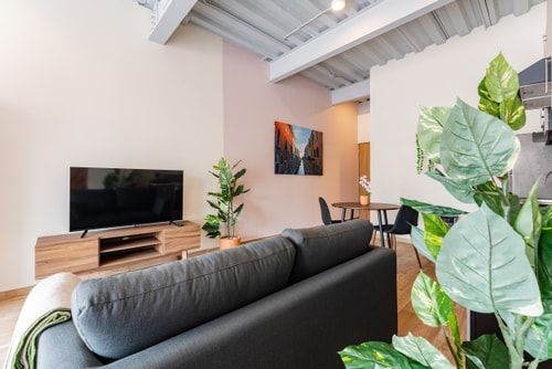 VH | Comfy loft | rooftop & wifi en Roma Nte | 304 8 Virtual Homes