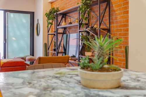 VH | Great apt Roma CDMX | Piscina + wifi | 36 16 Virtual Homes
