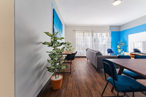 VH | Condesa Apt + patio & wifi | 215 19 Virtual Homes