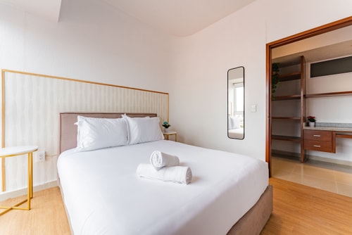 VH | 2 BR + wifi & gym | Anáhuac | 208 31 Virtual Homes