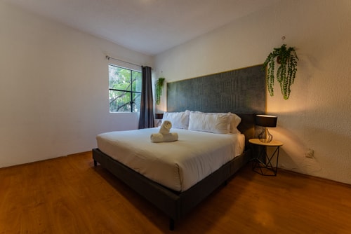 VH | Comfy Apt Condesa | 2 BR + Balcony | 214 32 Virtual Homes