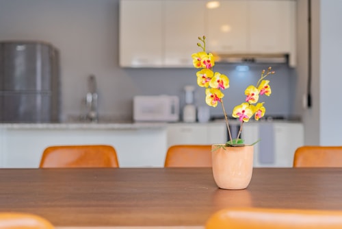 VH | Gran PH Condesa | 4 BR + Gym | 296 17 Virtual Homes