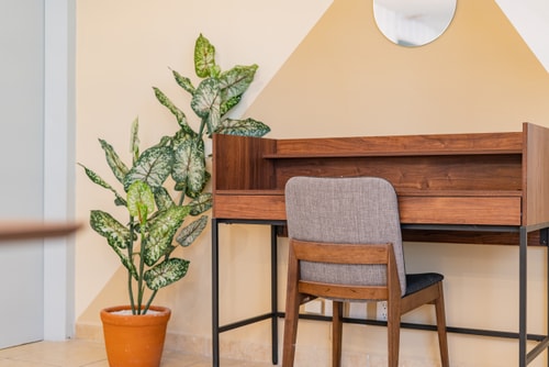 VH | Condesa Nice apt | wifi + washer | 199 11 Virtual Homes