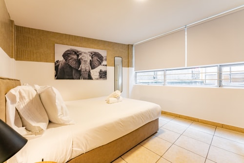 VH | Condesa Nice apt | wifi + washer | 199 33 Virtual Homes