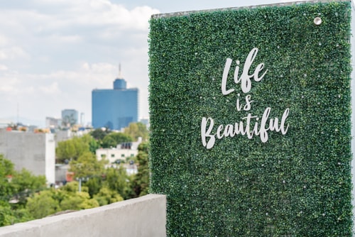 VH | Increíble Glamping en Condesa + terraza + super wifi | 94 5 Virtual Homes