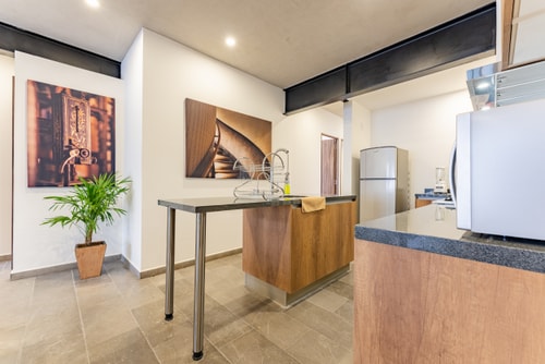 VH | Depa en Condesa | lavandería & balcón | 84 8 Virtual Homes